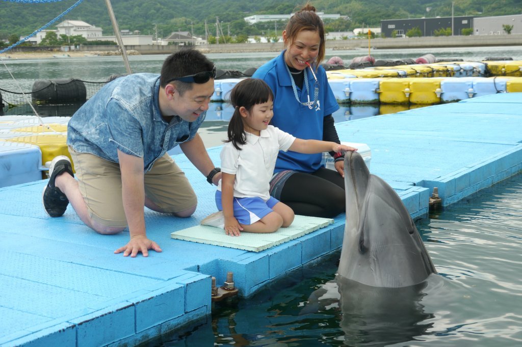 日本ドルフィンセンター｜スポット・体験｜香川県観光協会公式サイト
