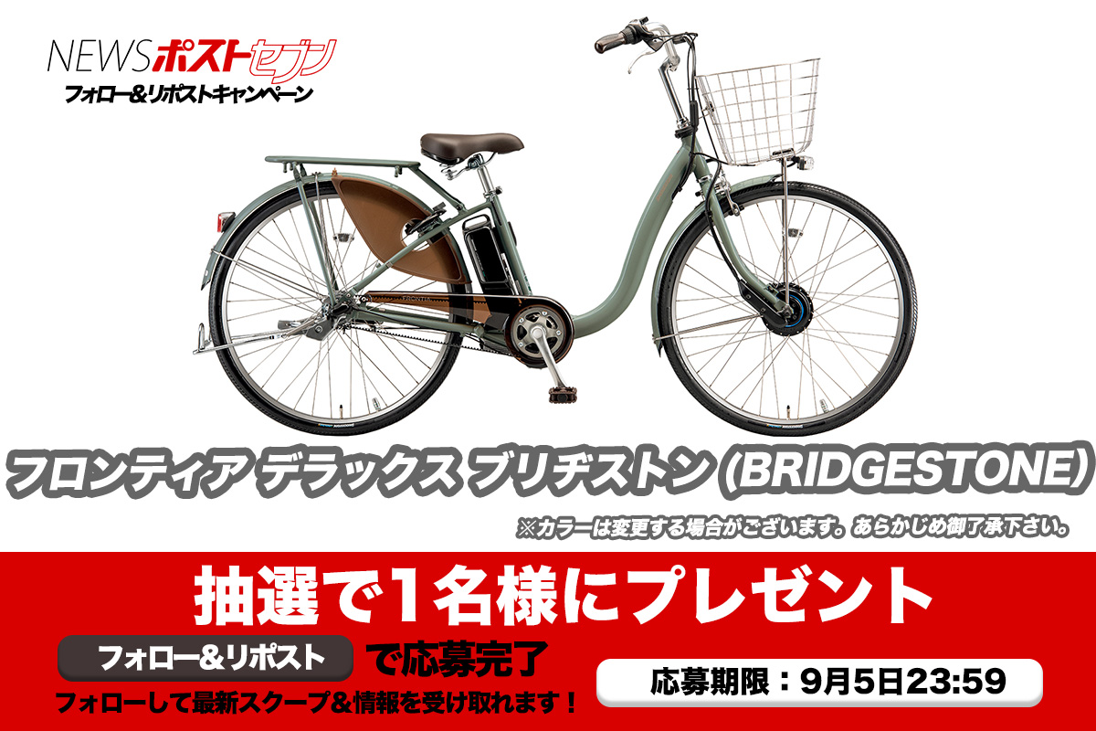 ブリヂストン 電動アシスト自転車 FRONTIA DX（フロンティア