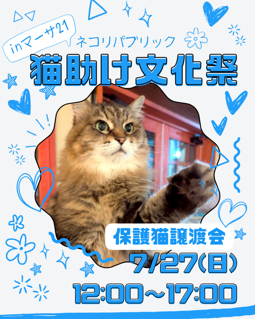猫が主役の1日！知って・遊んで・助ける 猫助け文化祭！岐阜マーサ21