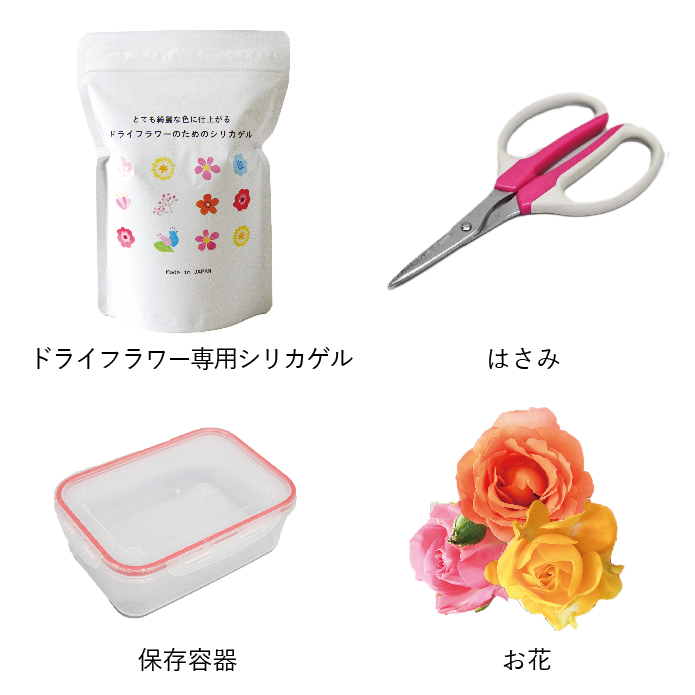 シリカゲル法ドライフラワーの作り方 | 日本化工機材株式会社