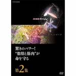 NHKスペシャル 人体 神秘の巨大ネットワーク DVD-BOX 全7枚｜人体