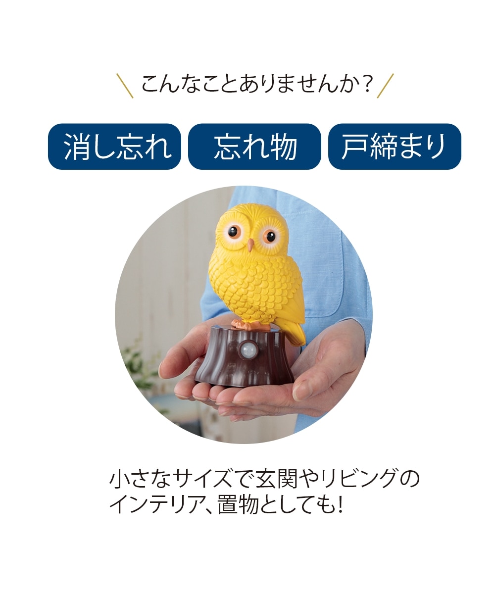 我が家の福ちゃん 通販【ニッセン】