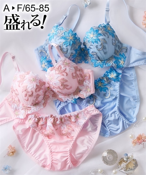 C70 ブラショーツセット 通販【ニッセン公式】