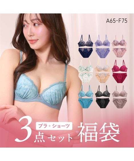 F75 その他のブラショーツセット 通販【ニッセン公式】