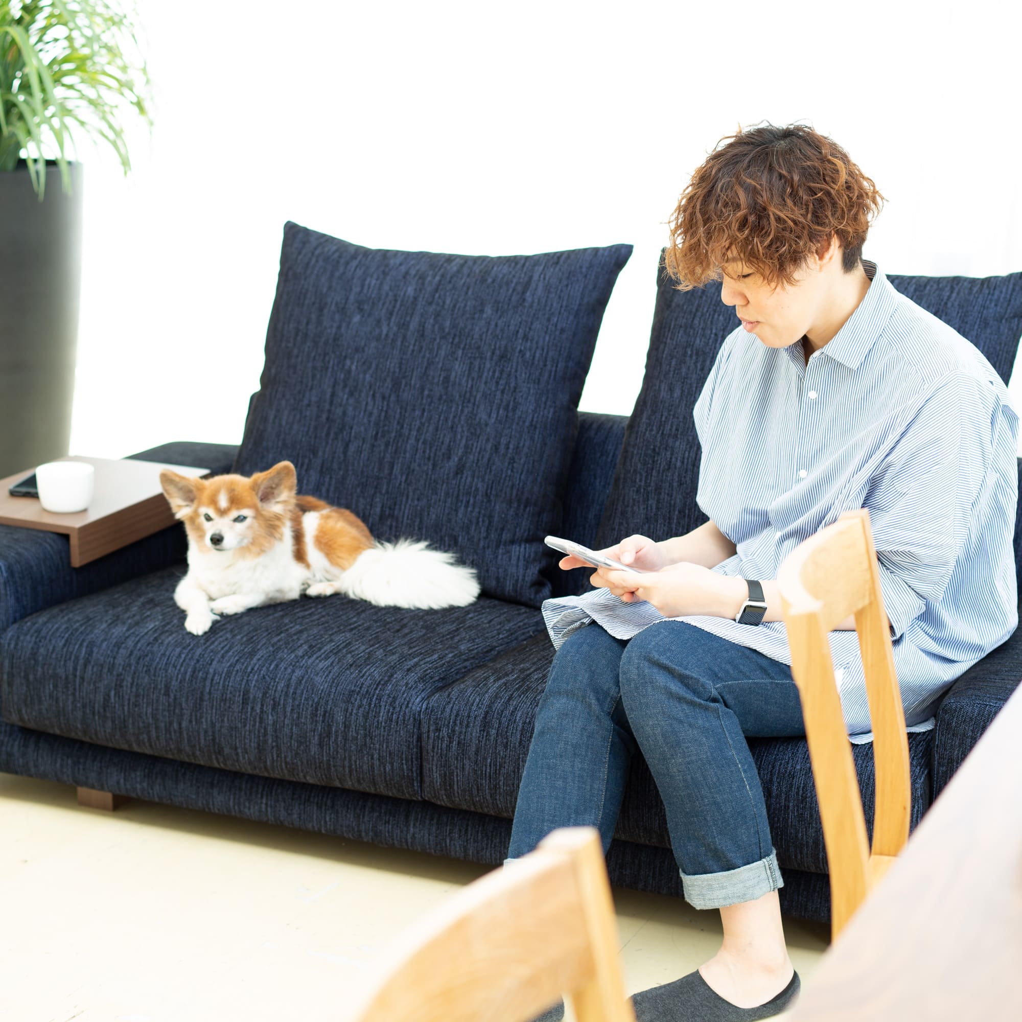 Decibel Professional 3人掛け両ひじ」 製品詳細ページ | 国産ソファ