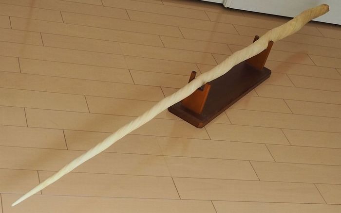 ウニコール(イッカク鯨)の角 ｜一角鯨の角の販売 | 骨董品買取 小川処堂