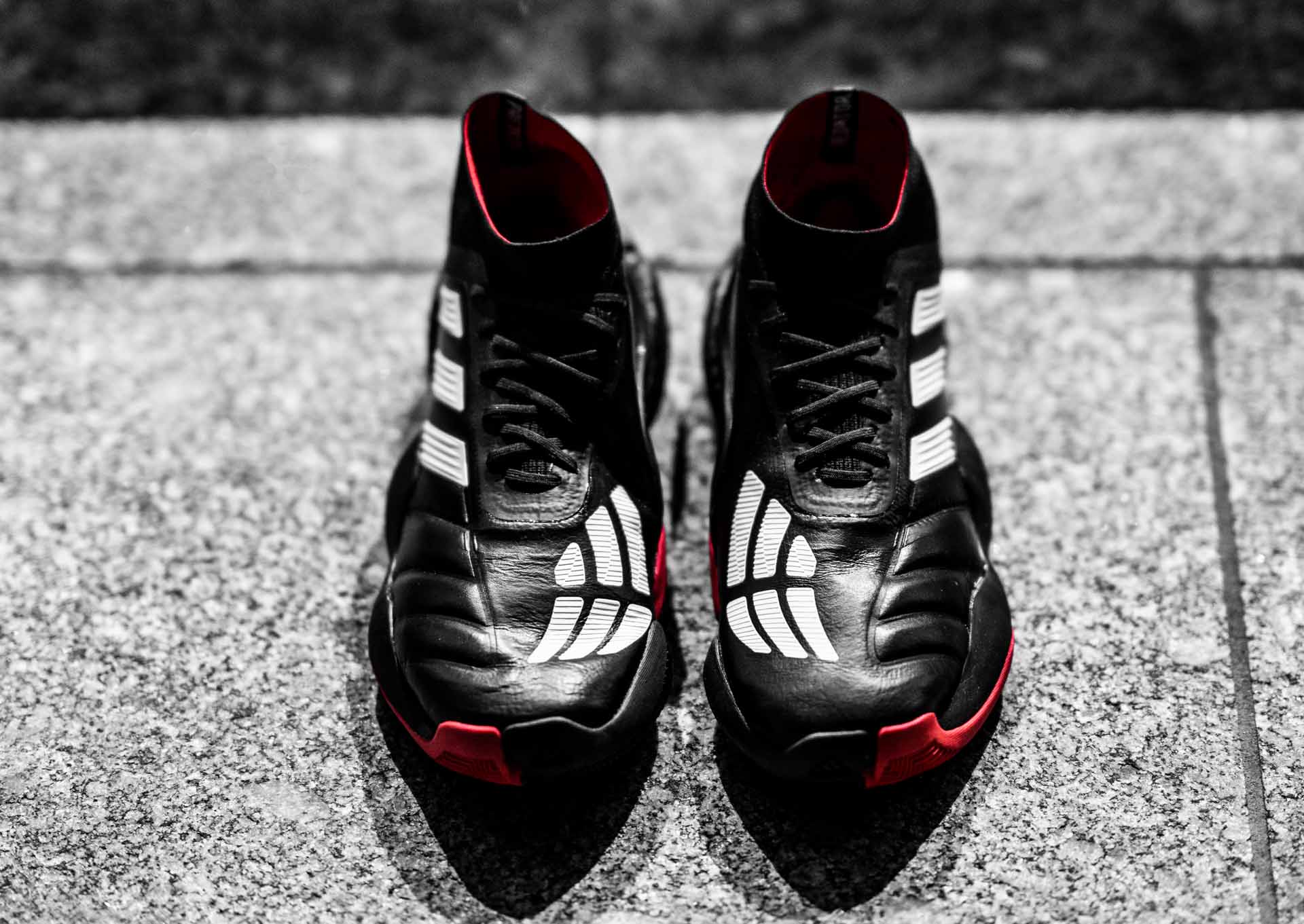 adidas Launch The Predator Mania 19.1 TR Sneaker - SoccerBible