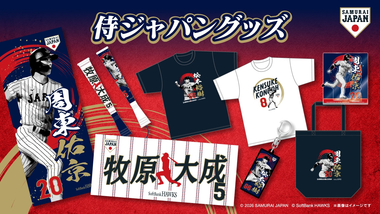 ホークス ピンクフルデー 2024 TVQコラボ クッション（9 柳田