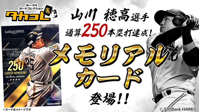 記念グッズ】山川穂高選手通算250本塁打達成！ | 福岡ソフトバンクホークス