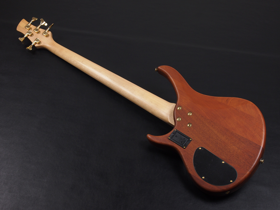 Antique Noel ATB-580 税込販売価格 ￥49,800- 中古 初めての5弦ベース