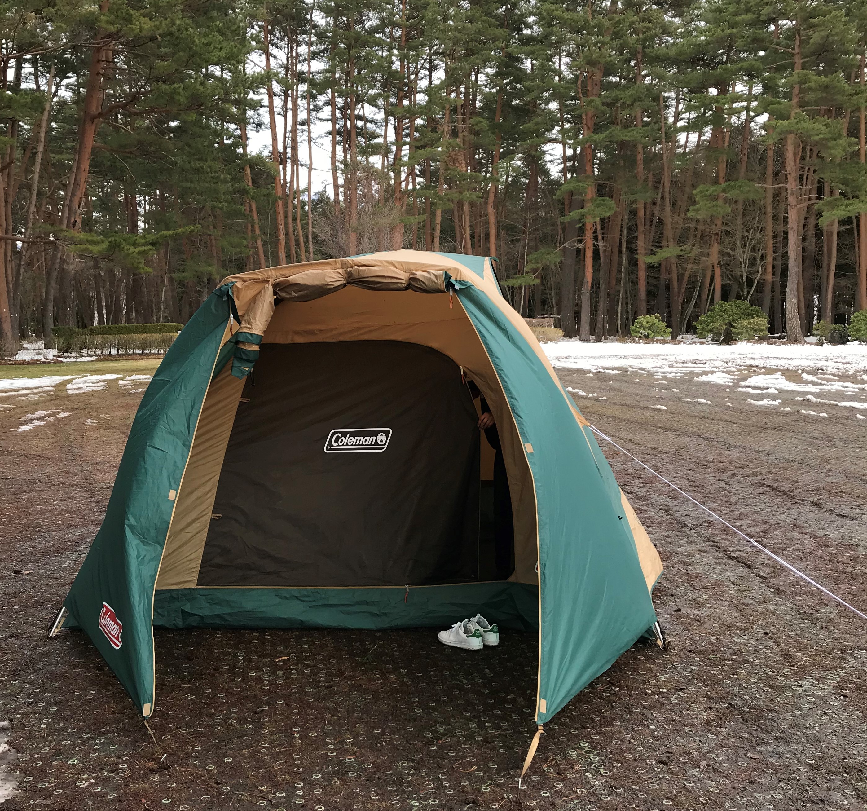 キャンプ初心者におすすめテント「コールマン:タフワイドドーム