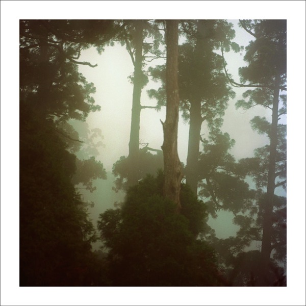 SCAI THE BATHHOUSE | Artists | Darren ALMOND | Selected Works