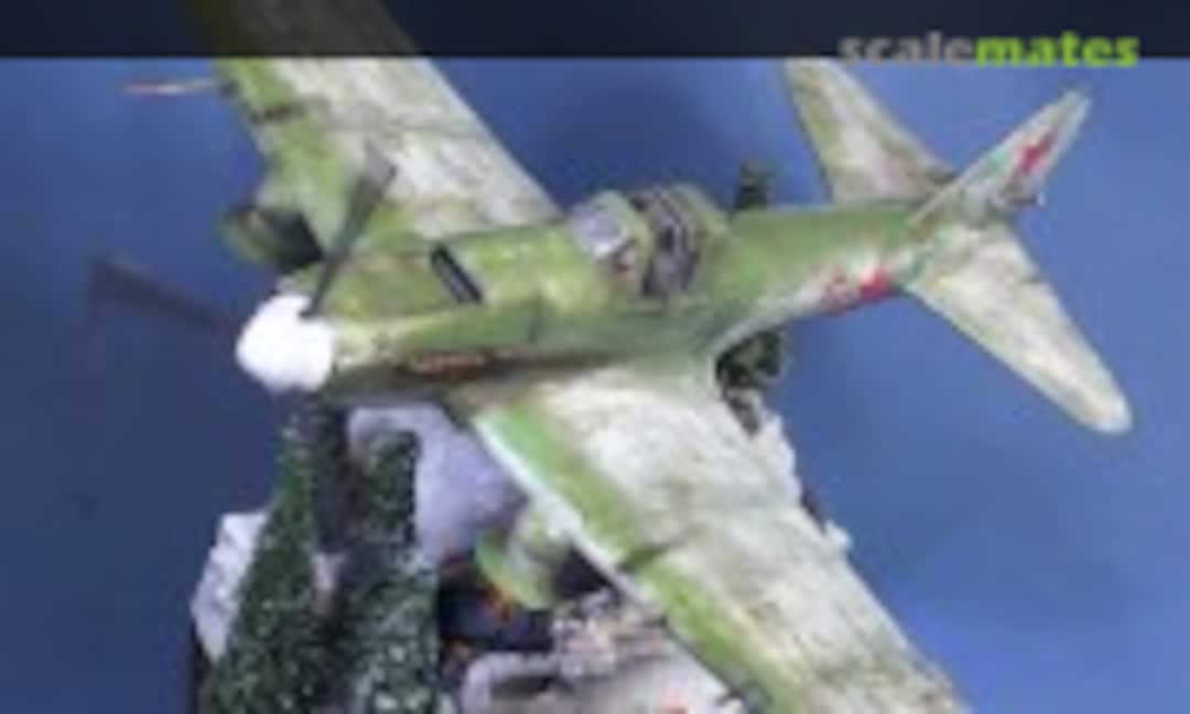 IL-2 Sturmovik, HobbyBoss 83201 (2010)