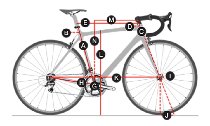 Trek Domane AL 3 Disc - Jay's Cycles | Princeton, NJ | Bike Shop