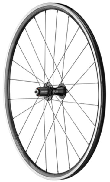 Giant P-R2 Rear - Montgomery Cyclery