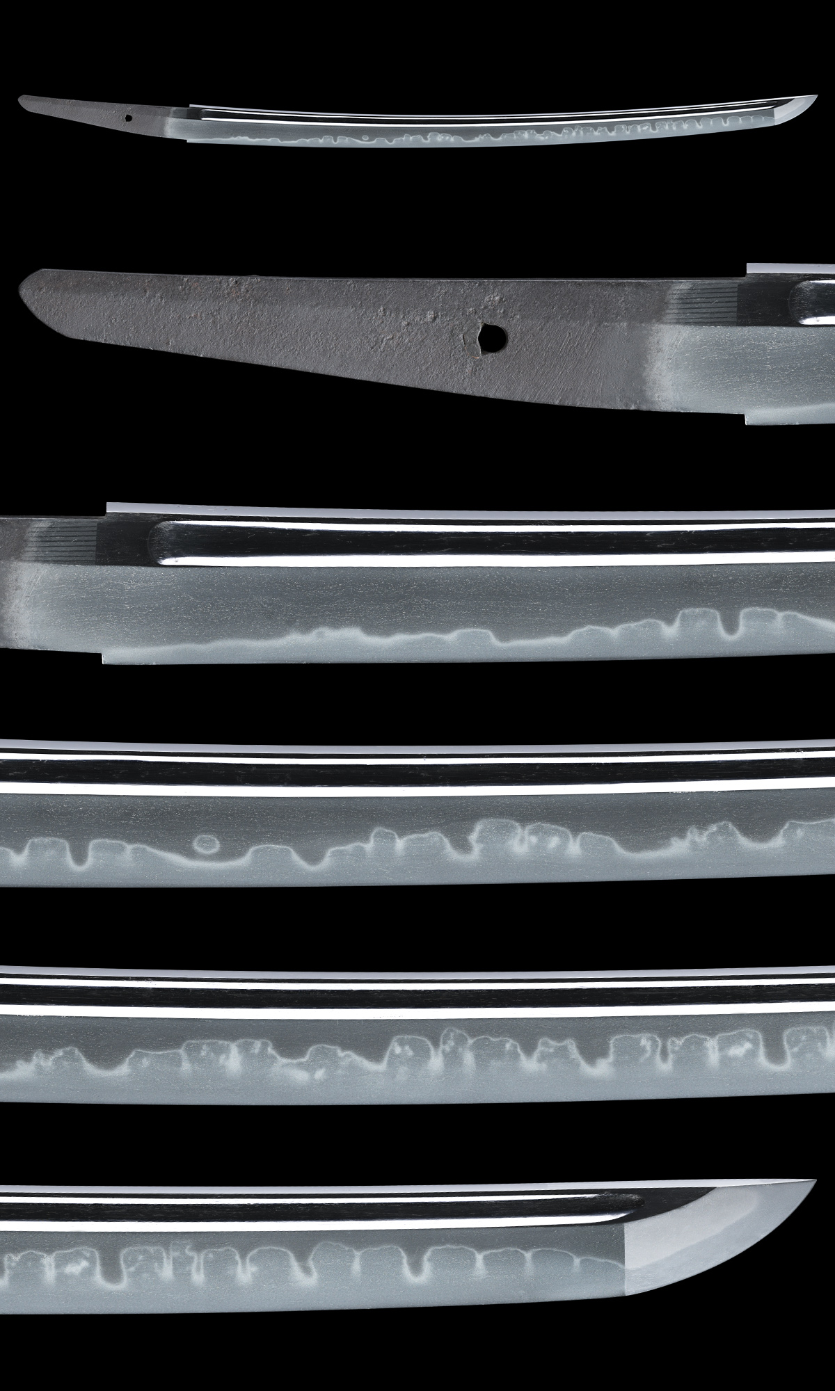 脇差 (菊紋)和泉守来金道(三代)(WA-080725)｜刀・日本刀の販売なら日本