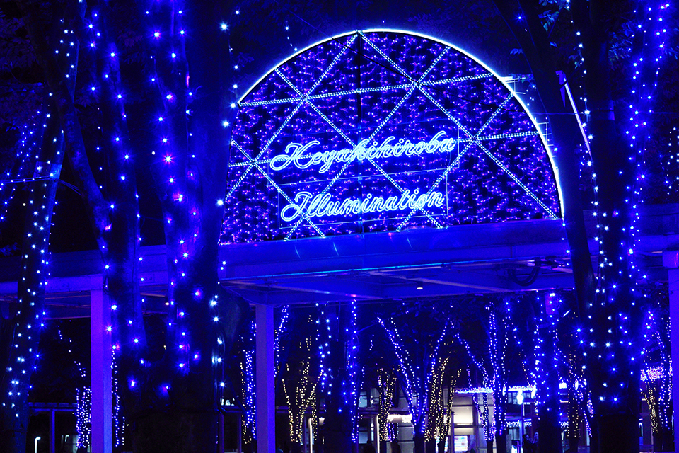 開催概要 | さいたま新都心けやきひろばイルミネーション 2025-2026