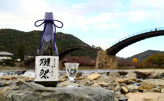 獺祭 磨き二割三分仕込み 梅酒 720ml | 株式会社獺祭（リキュール