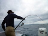 Carpenter Blue Chaser BLC 83/16 - Saltywater Tackle Inc.