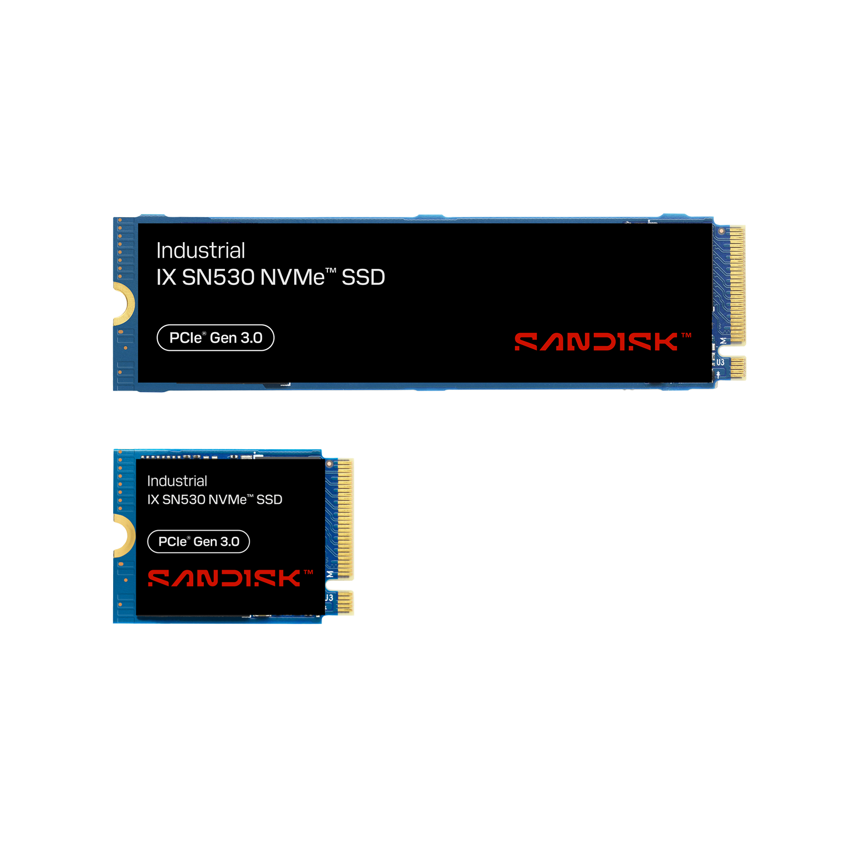 1TB M.2 2280 Industrial NVMe SSD | Sandisk