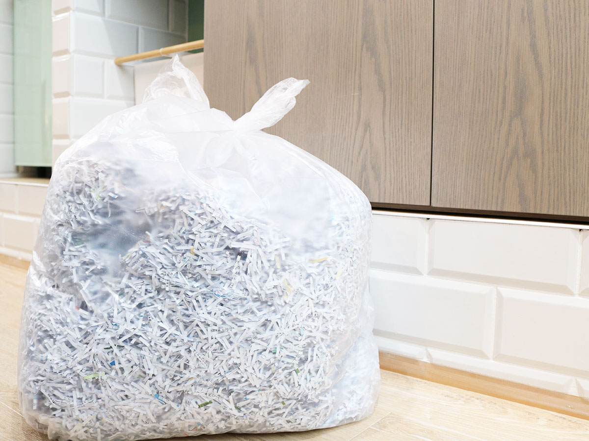 エコノプラス BOX 45L 半透明 100枚 0.015mm | サニパック