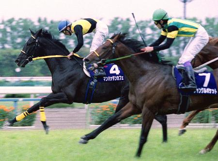 印刷用】マンハッタンカフェが死ぬ／有馬記念などG1で3勝