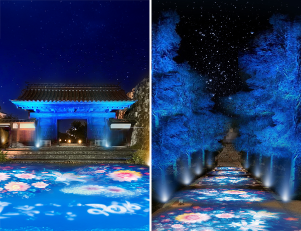 エシックスライツ2025 富山城プロジェクションマッピング | 富山市民プラザ