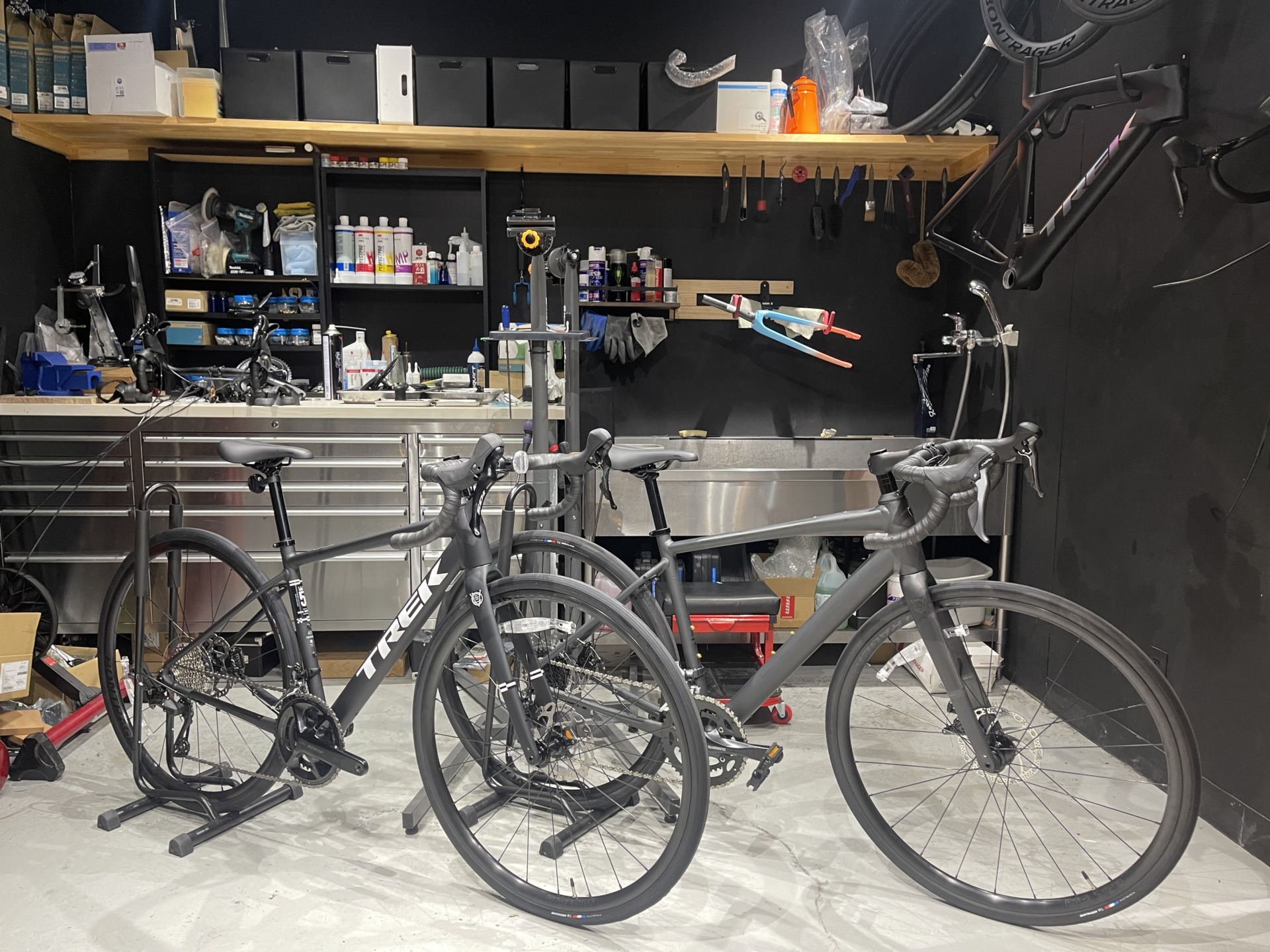 2025 TREK Domane AL 2 Gen 4 (¥149,000) | スターバイクス