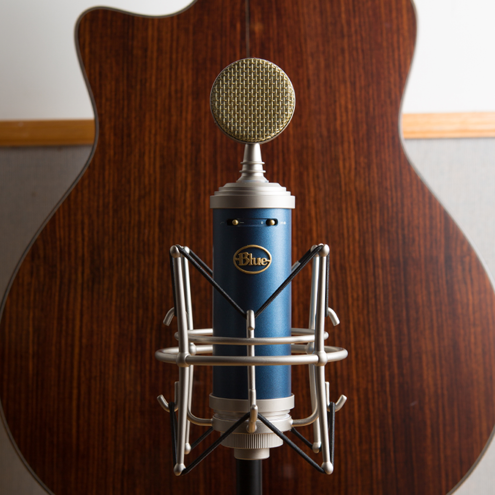 Blue Bluebird SL Mic & Wireless