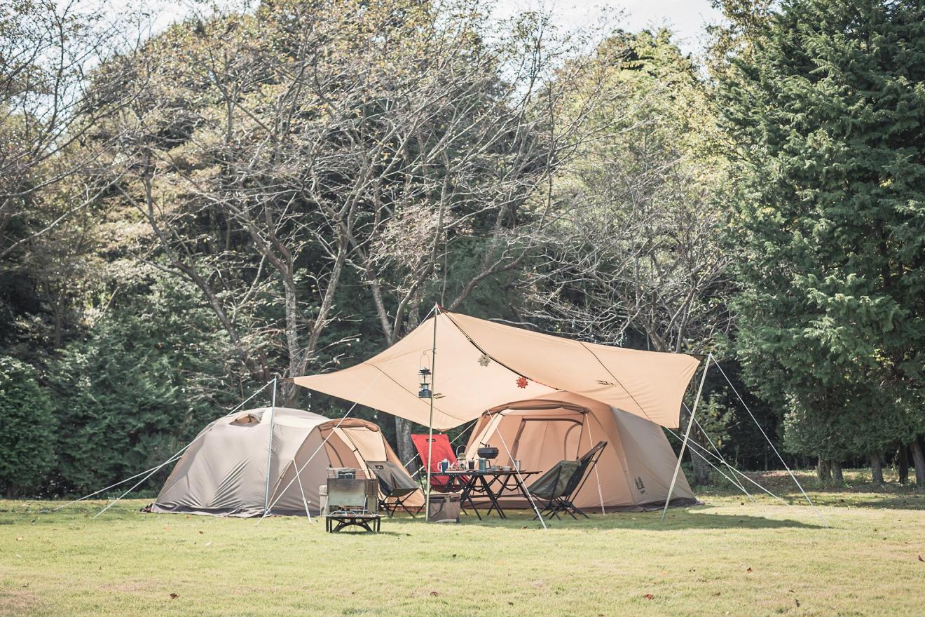 ピスタ34 / ogawa ONLINE STORE