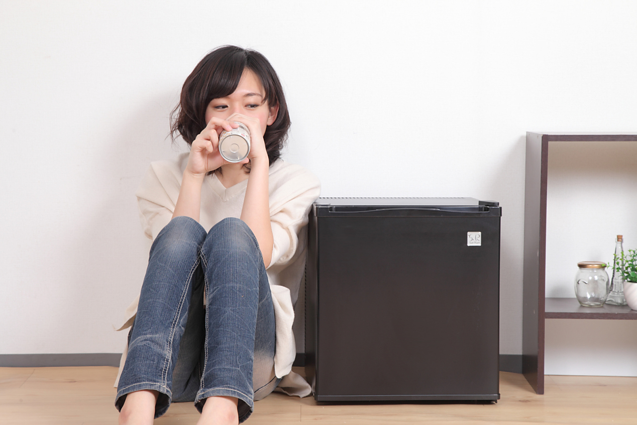 生産終了品】 ペルチェ式 20リットル 1ドア電子冷蔵庫 SR-R2001 | SunRuck