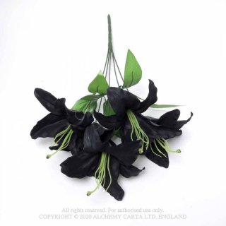 Alchemy Gothic アルケミーゴシック