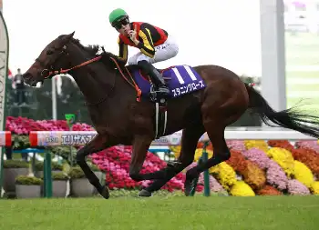 エリザベス女王杯】スタニングローズV! Cデムーロが復活エスコート