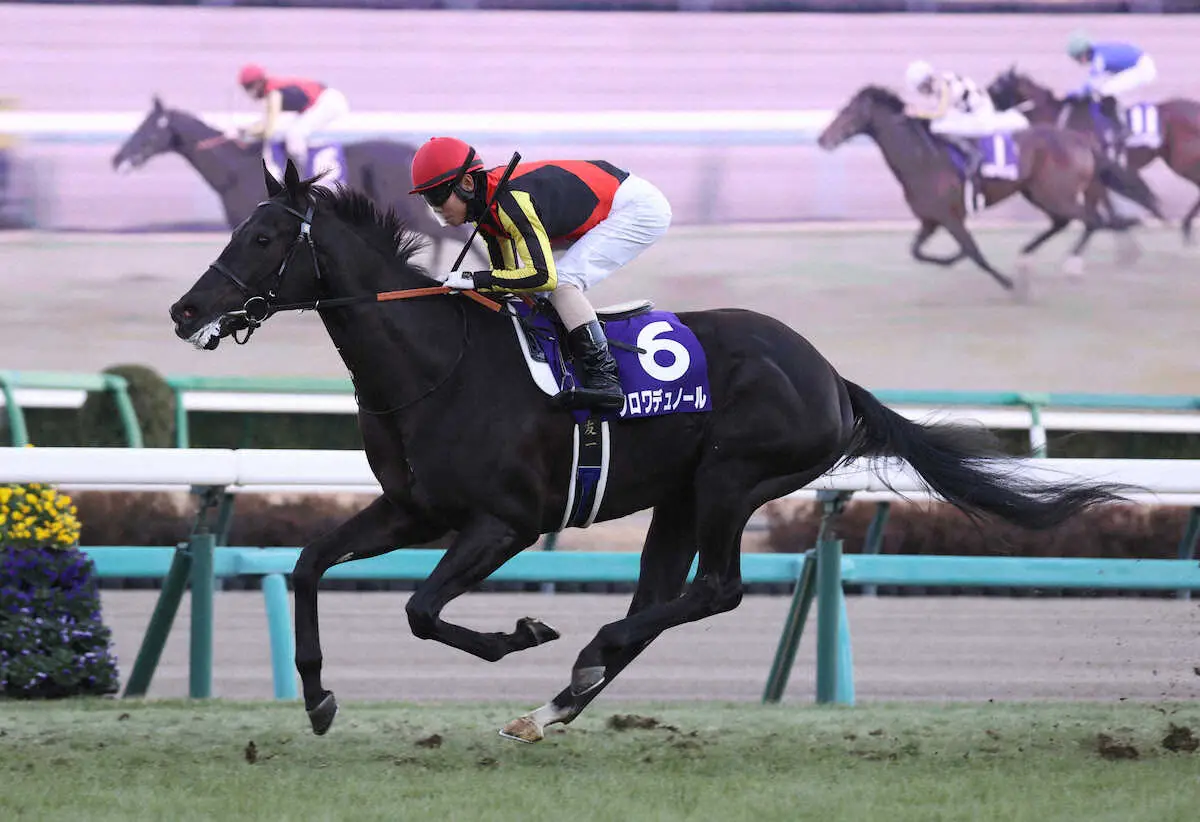 ホープフルS覇者クロワデュノール、皐月賞直行 無敗4連勝を期す