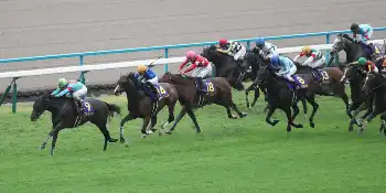 特集（2025年10月26日 京都11R 第86回菊花賞）- スポニチ競馬Web