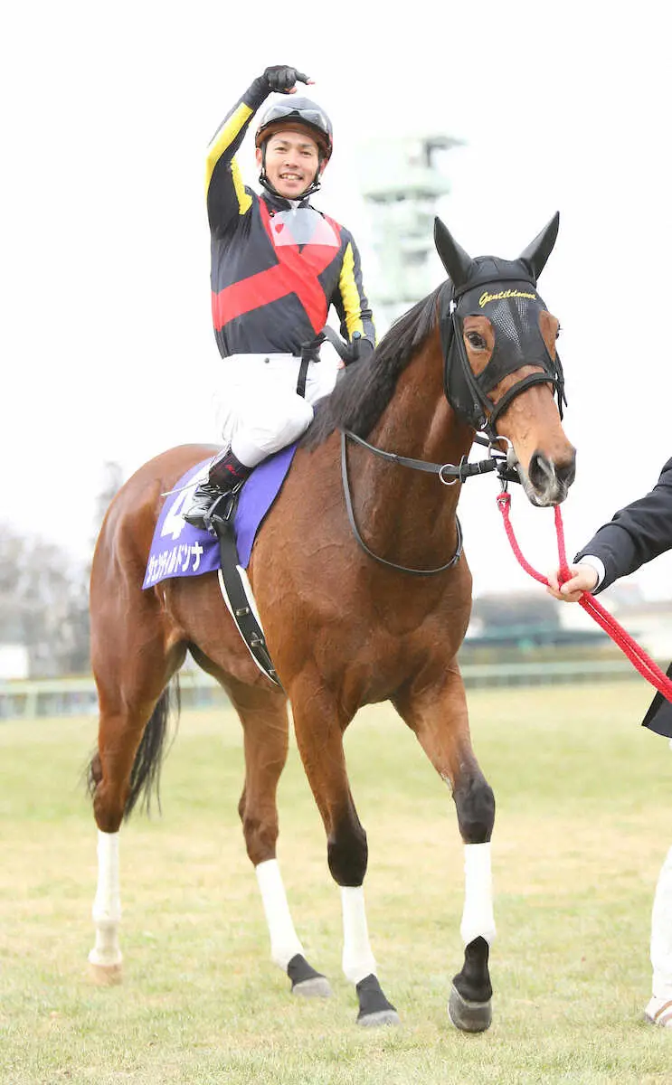 ジェンティルドンナ 追悼行事を実施 JRAが発表 - スポニチ競馬Web