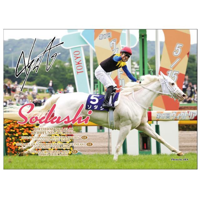 ソダシ」ヴィクトリアマイルVer.ジグソーパズル500ピースSNT-SVJP