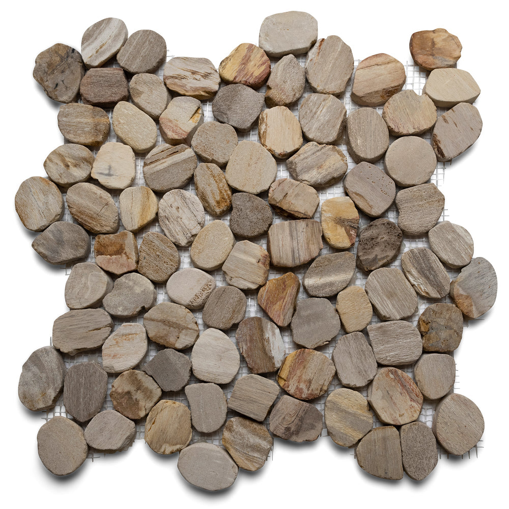 Sliced Mini Oval Petrified Fossil Pebble Tile | Sliced Pebble