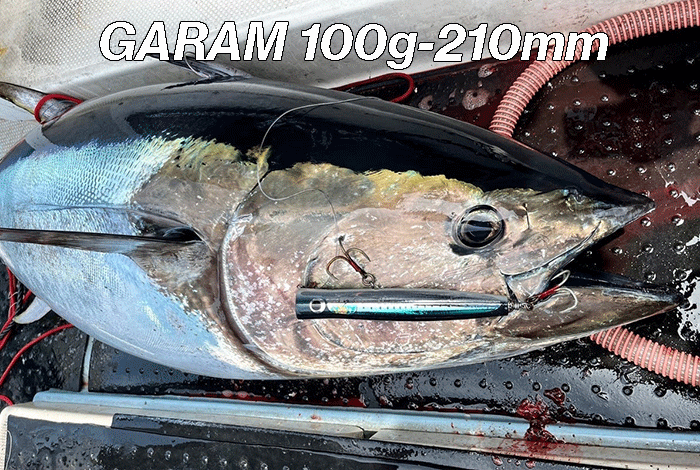 PLAT/carpenter garam 100g 210mm md black-Fishing Tackle Store-en