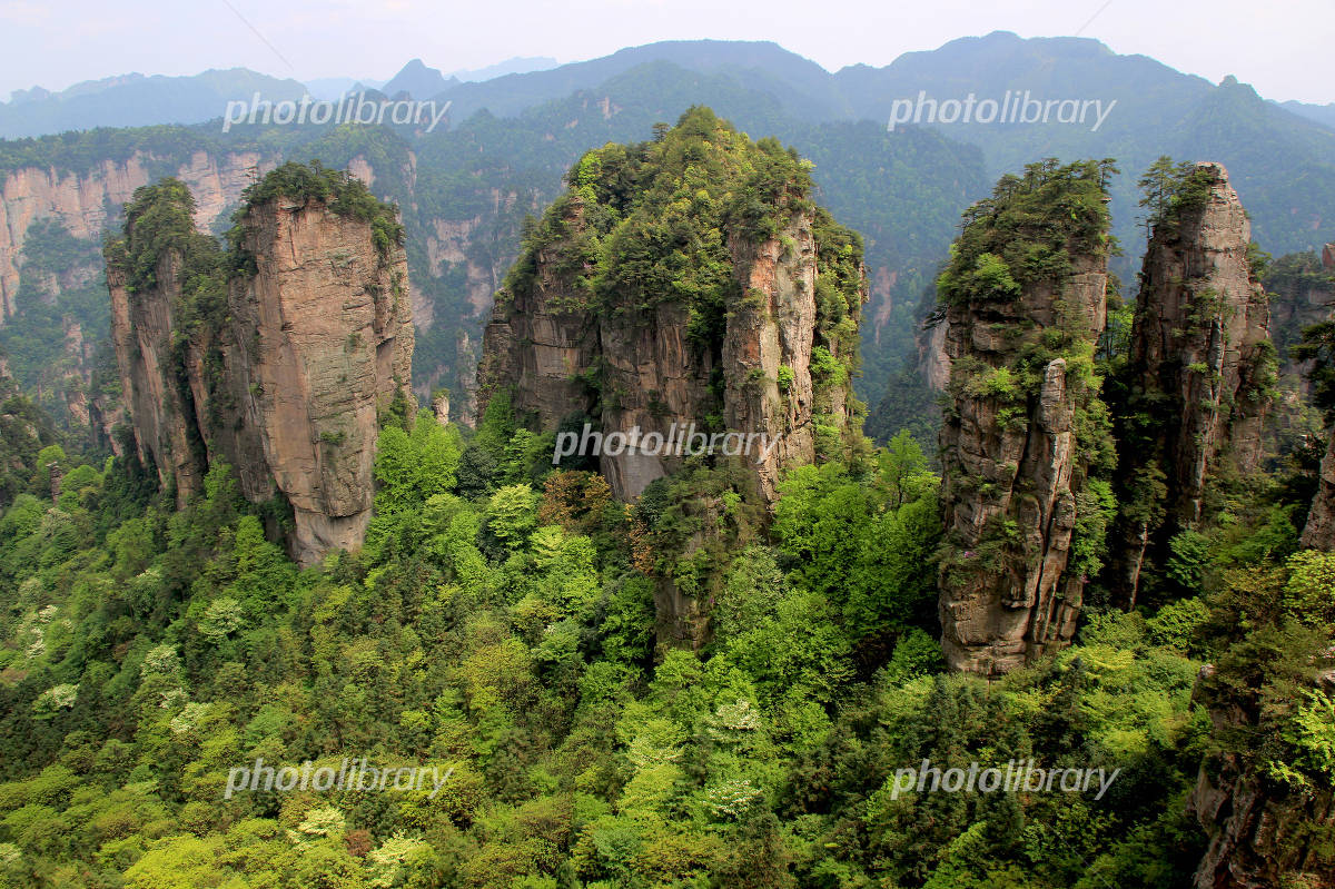 中国の世界遺産の武陵源 写真素材 [4401756] - フォトライブラリー