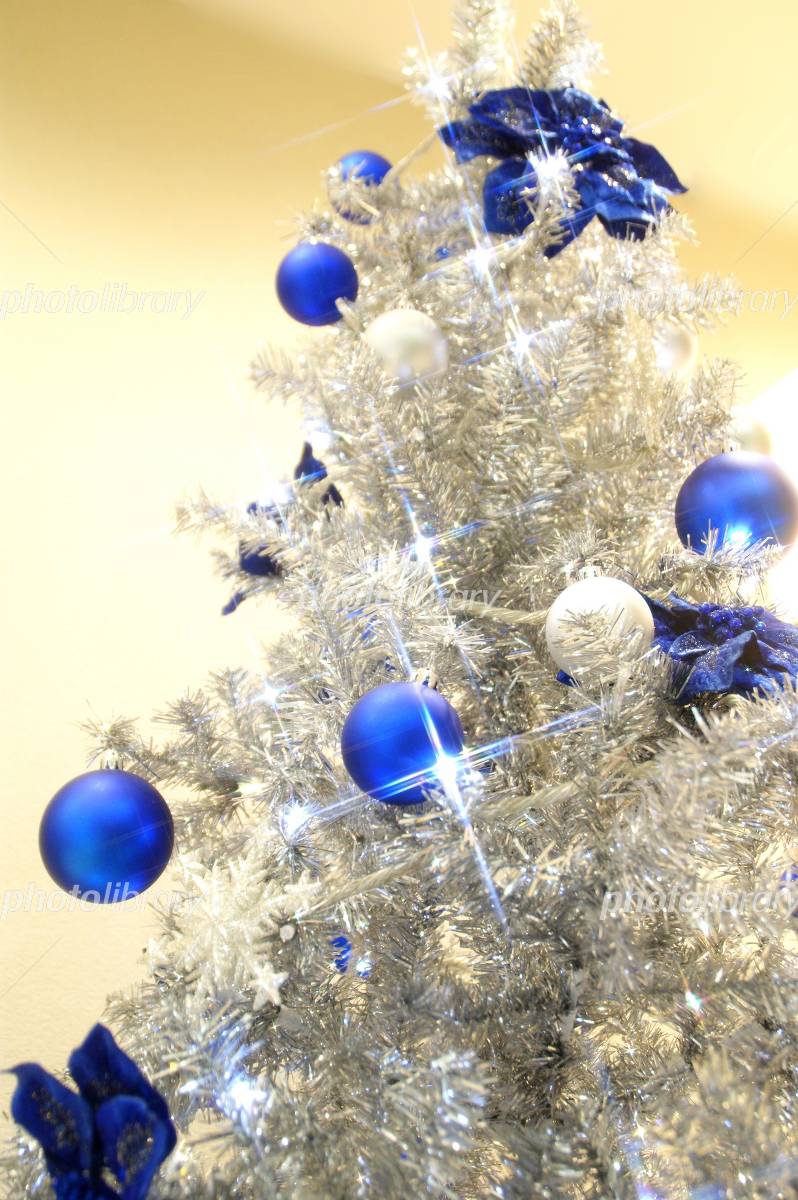 青のクリスマスツリー 写真素材 [679066] - フォトライブラリー