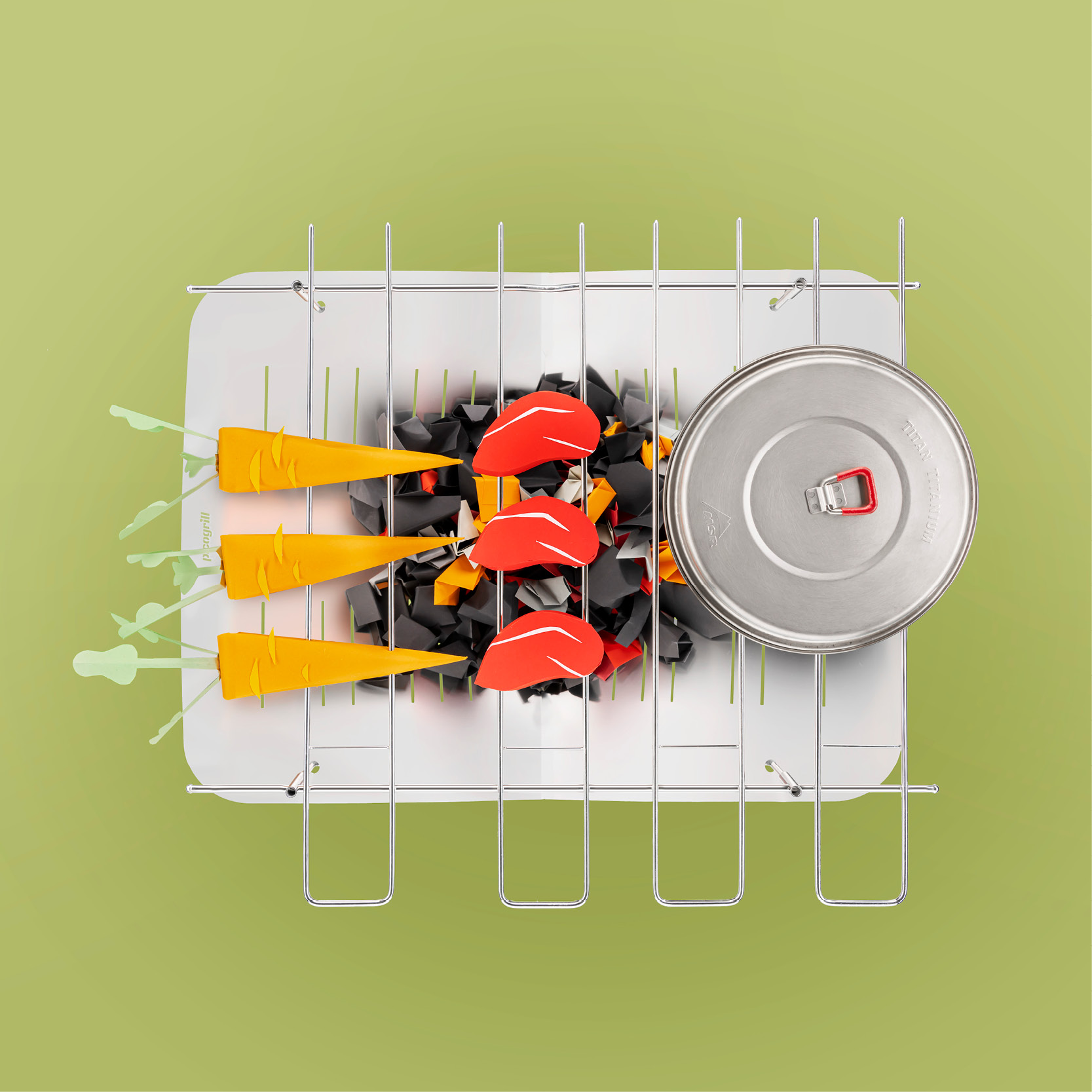 PICOGRILL-760 - picogrill.ch