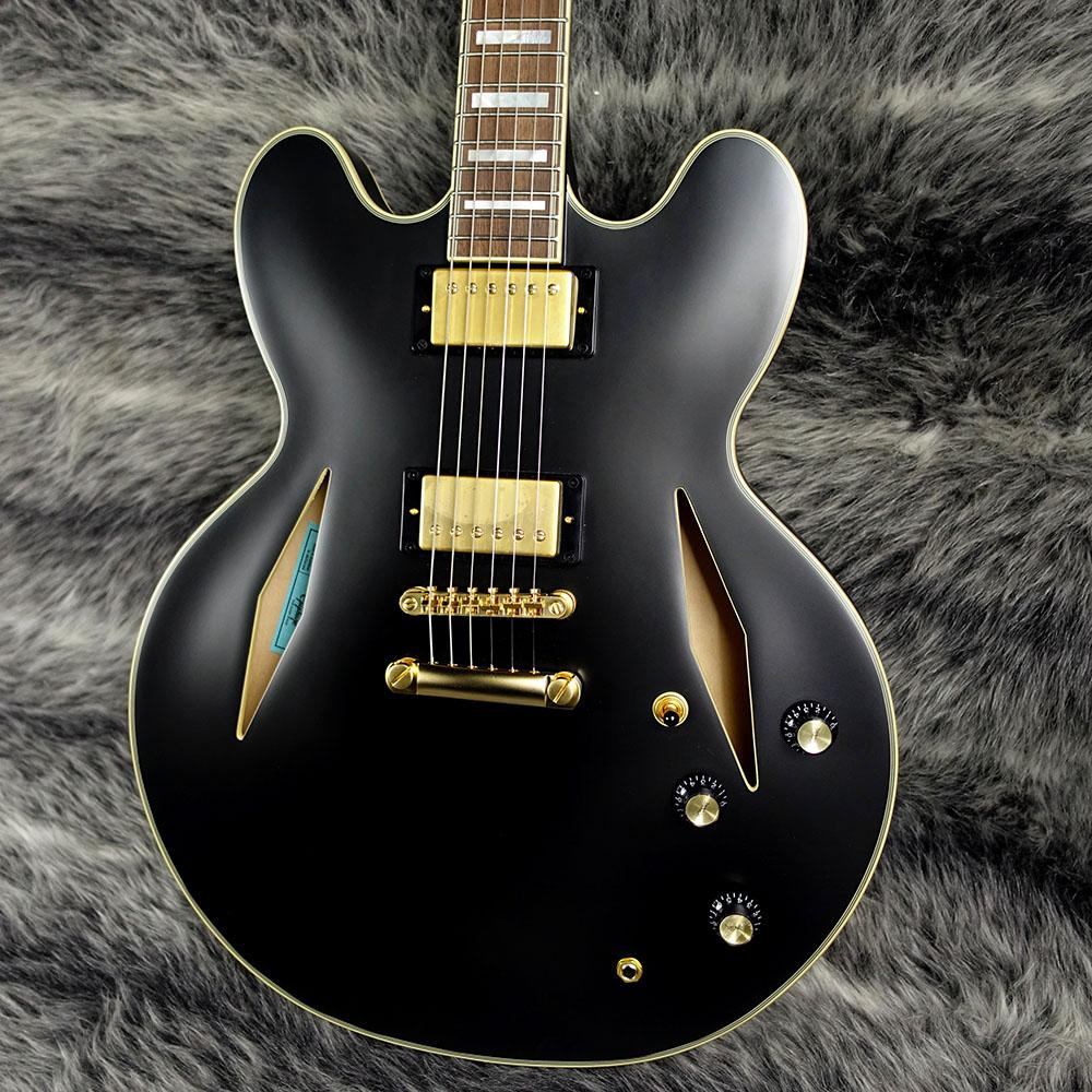 Epiphone Emily Wolfe Sheraton Stealth Black Aged Gloss <エピフォン
