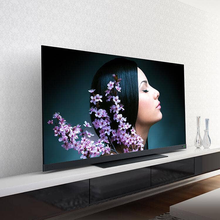 東芝　REGZA 50HL210X　法人向け　テレビ本体　50インチ REGZA（レグザ） 東証上場の安心企業/東芝 REGZA 50Z570L 50V型 4K