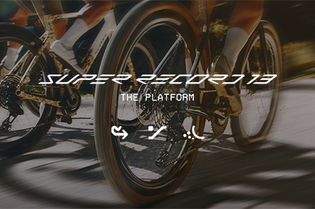 SUPER RECORD エルゴパワーレバー 12s | カワシマサイクルサプライ