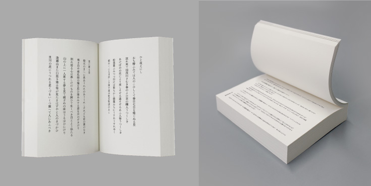 ふんわりモンテシオンセット | 同人誌印刷の緑陽社