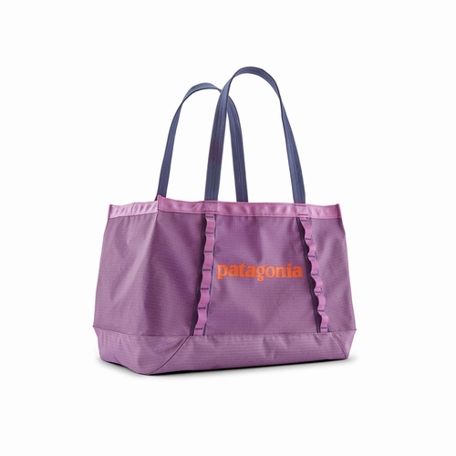 Black Hole Tote 25L （ブラックホール・トート 25L）patagonia