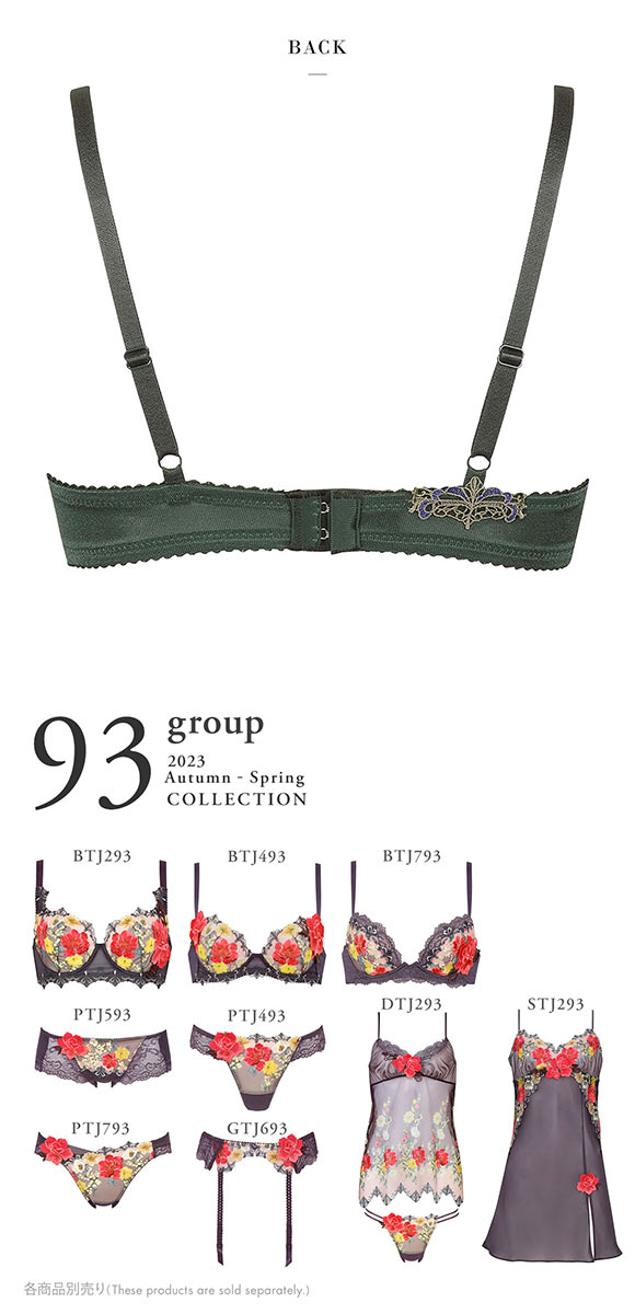 ワコール Wacoal サルート Salute 23AW 93G BTJ493 P-UP ブラジャー BC