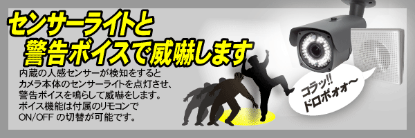 塚本無線：WTW-ASL543MP-VO｜AHD 265万画素Wセンサーライト型防犯