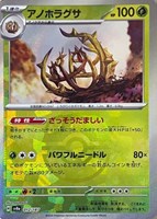 ブラッキーex【ポケモンカードトレカお買得価格通販：CBトレコロ】